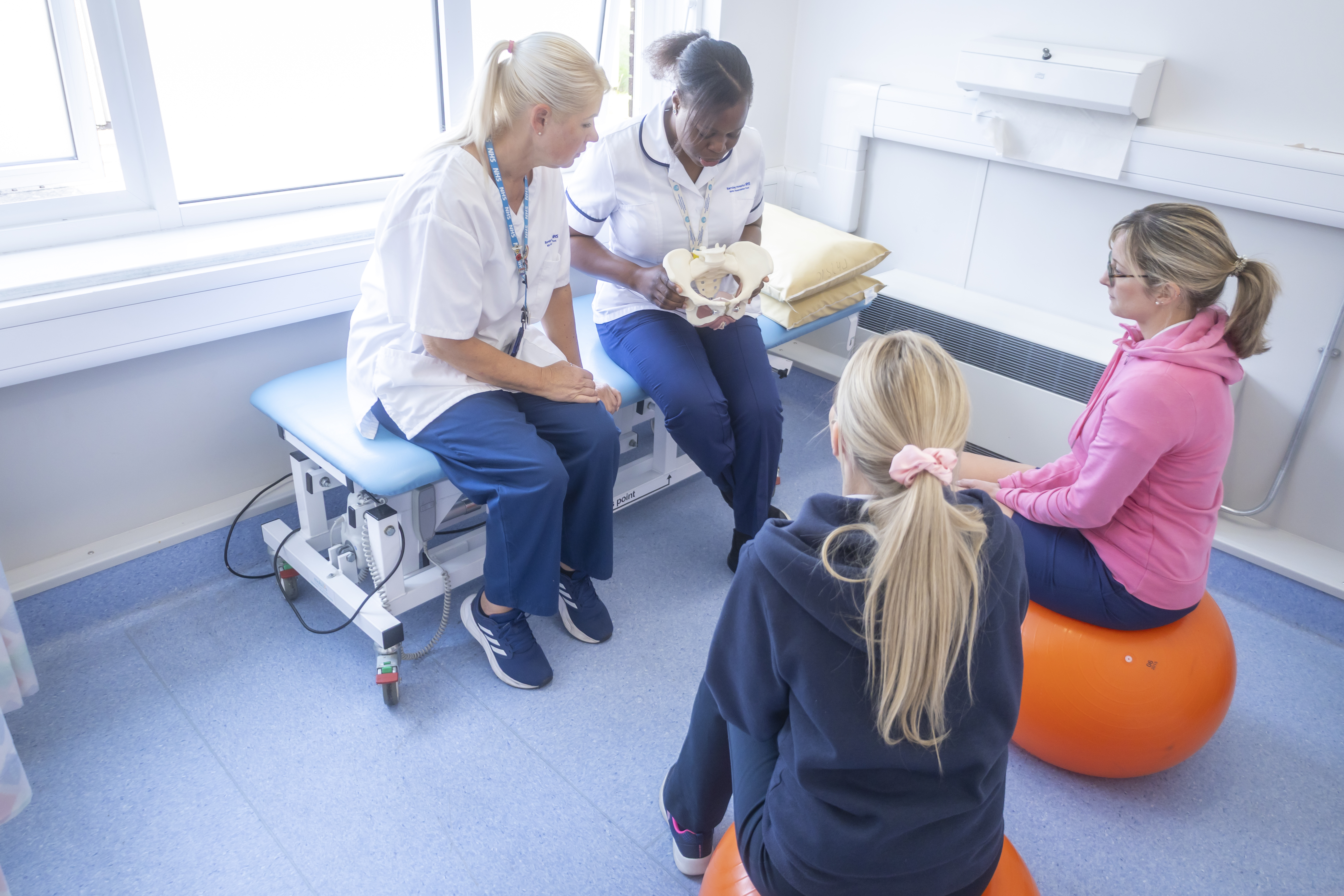 Physiotherapists use a pelvis model to explain their work to patients