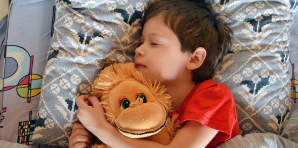 Boy asleep cuddling a toy monkey