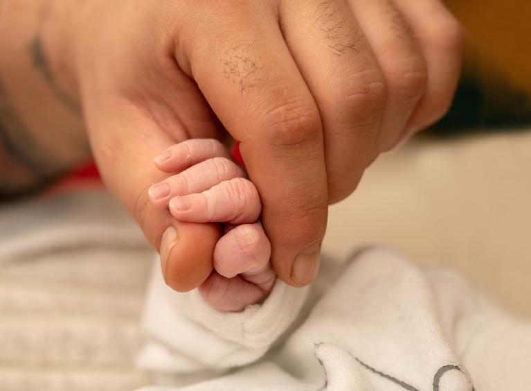 An adult holds the hand of a baby with their finger and thumb. 