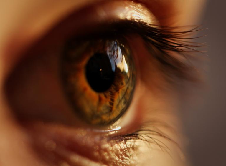 Close up of a person's eye which is brown.
