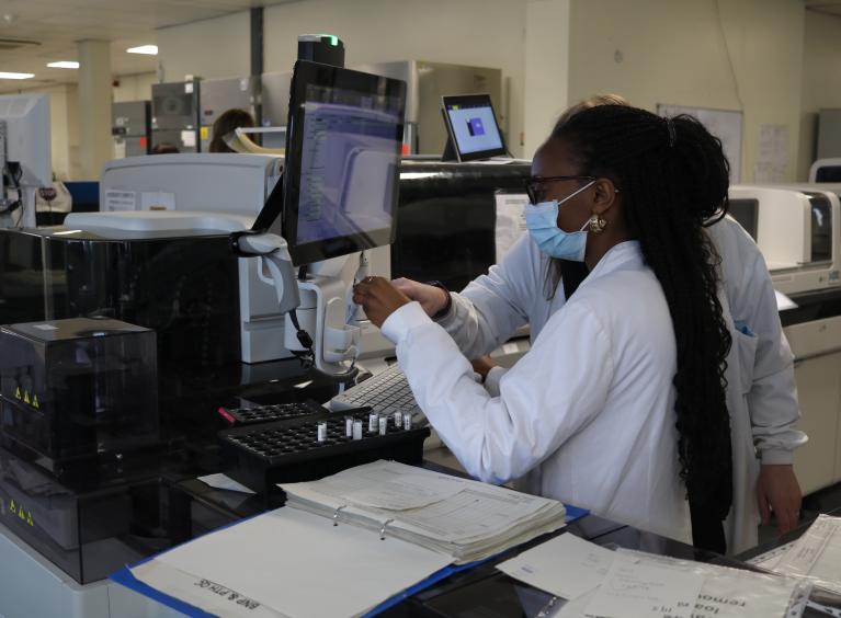 A pathologist examines a display screen