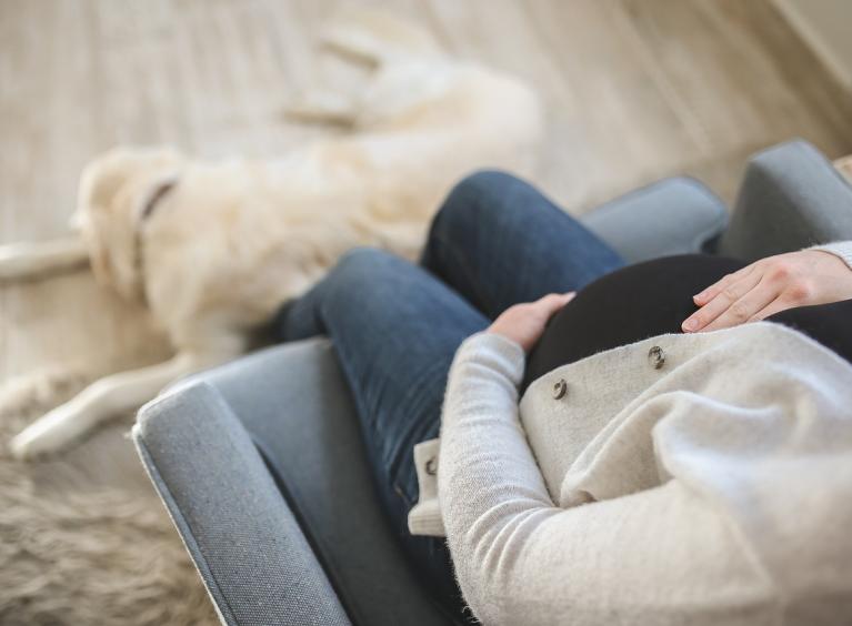 A pregnant women holds her bump. She is sitting on the sofa at home with the dog on the floor nearby.