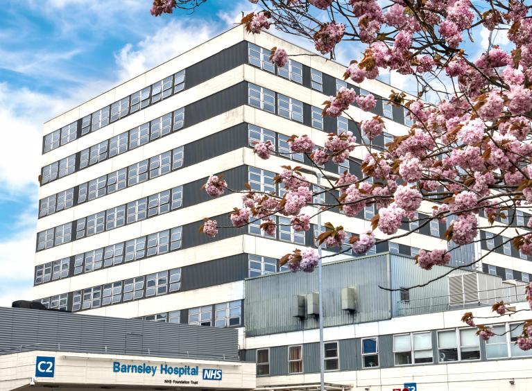 The main hospital building with pink cherry tree blossom in the foreground