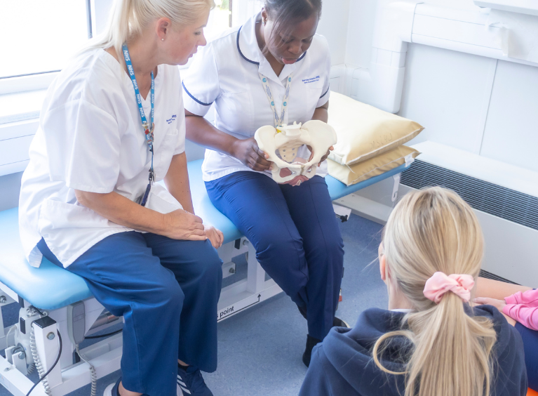 Physiotherapists use a pelvis model to explain their work to patients