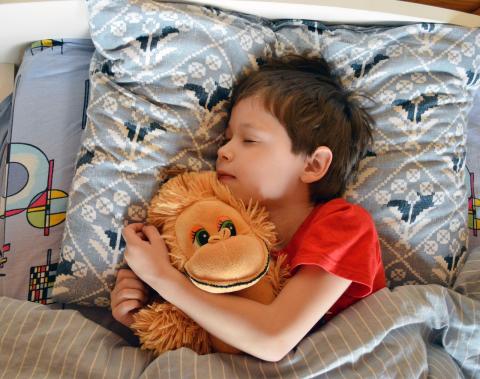 Boy asleep cuddling a toy monkey
