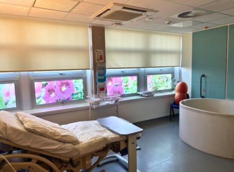 A room with natural light, a bed and a birthing pool