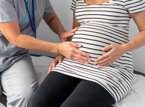 Midwife feels a pregnant woman's bump