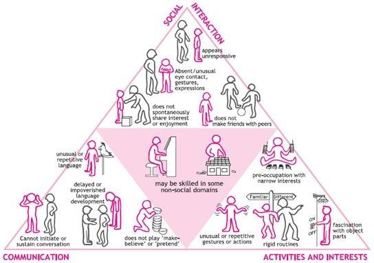 Infographic showing the autism triage of impairment