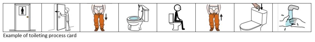 Toileting process chart